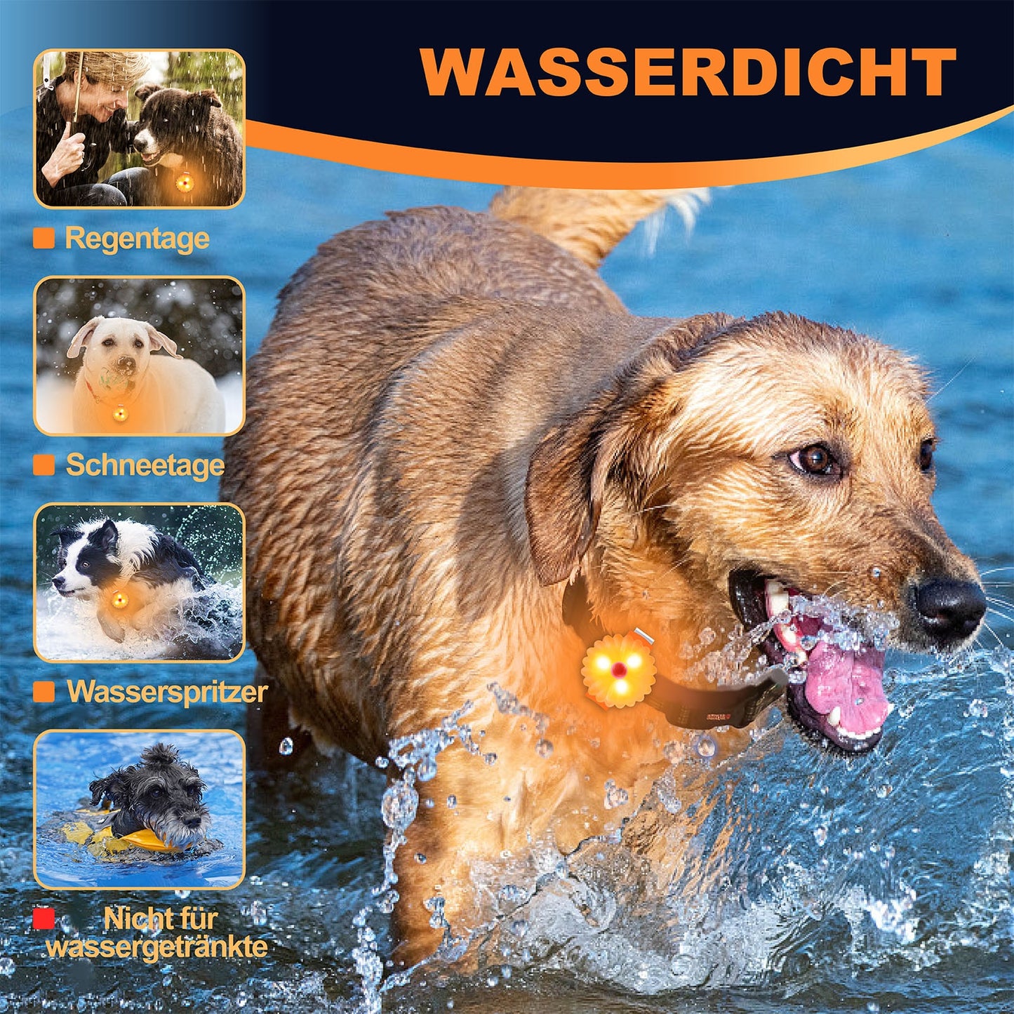 AHJ Hundelicht, 2 Stück Blinklicht Schulranzen Kinder, Sicherheits LED Blinklicht für Hunde - Katzen, USB-C Wiederaufladbar LED Licht Leuchthalsband Hund, licht für Jogger - Walker - Fahrradfahrer