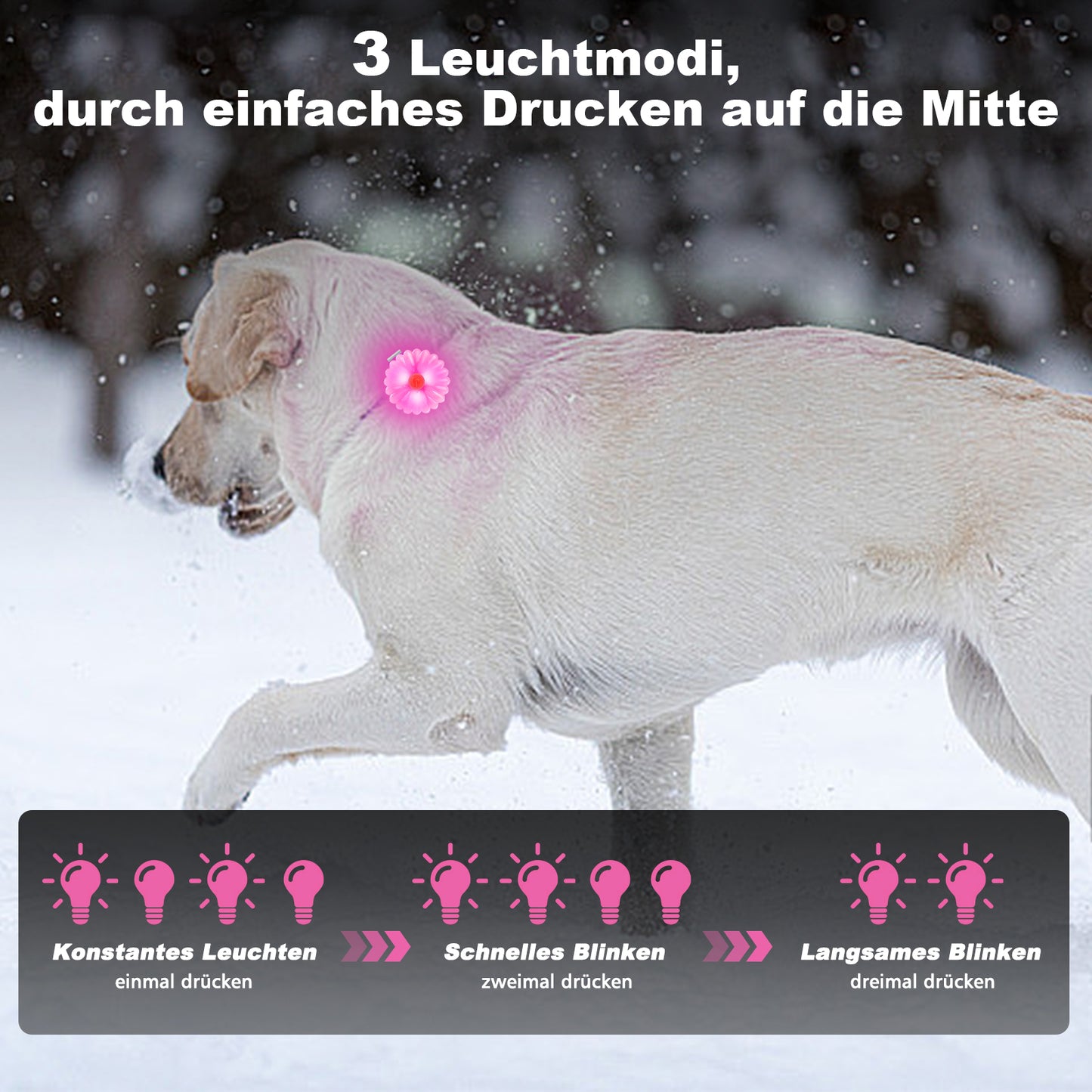 AHJ Hundelicht LED Aufladbar 2 Stück, USB-Sicherheits-Leuchtanhänger mit Blinklicht für Hunde & Katzen – kinderleicht an Schulranzen, Geschirr oder Jogger im Dunkeln befestigt（ Rosa-Blau）