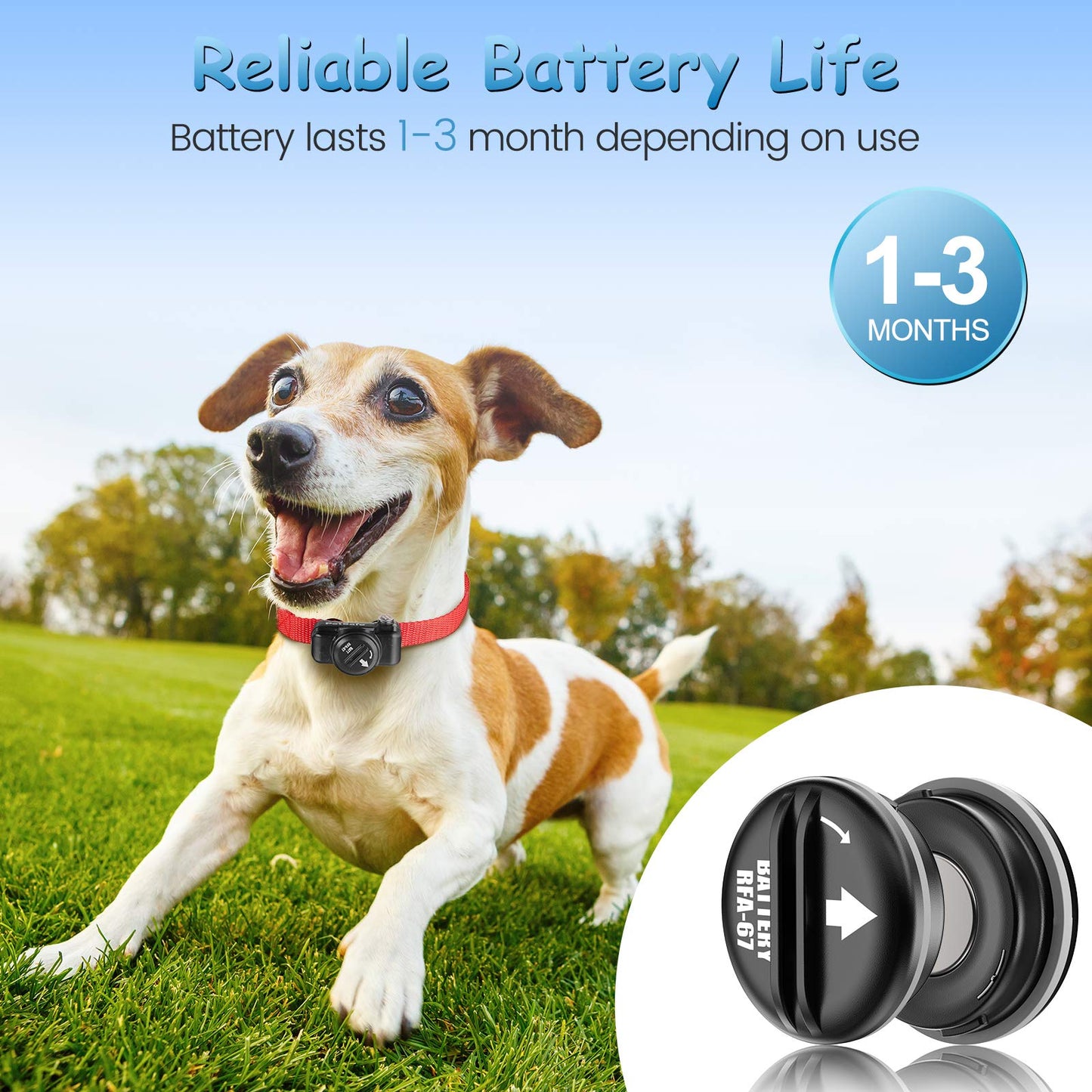 KGC RFA-67 6 Volt Replacement Dog Collar Batteries, Ultra Fit PIF-300 RF300 PIF-275-19 PRF-3004W PUL-250 PUL-275 PIG00-13661 PBC-102, Compatible with PetSafe RFA 67 Battery (10 Pack)
