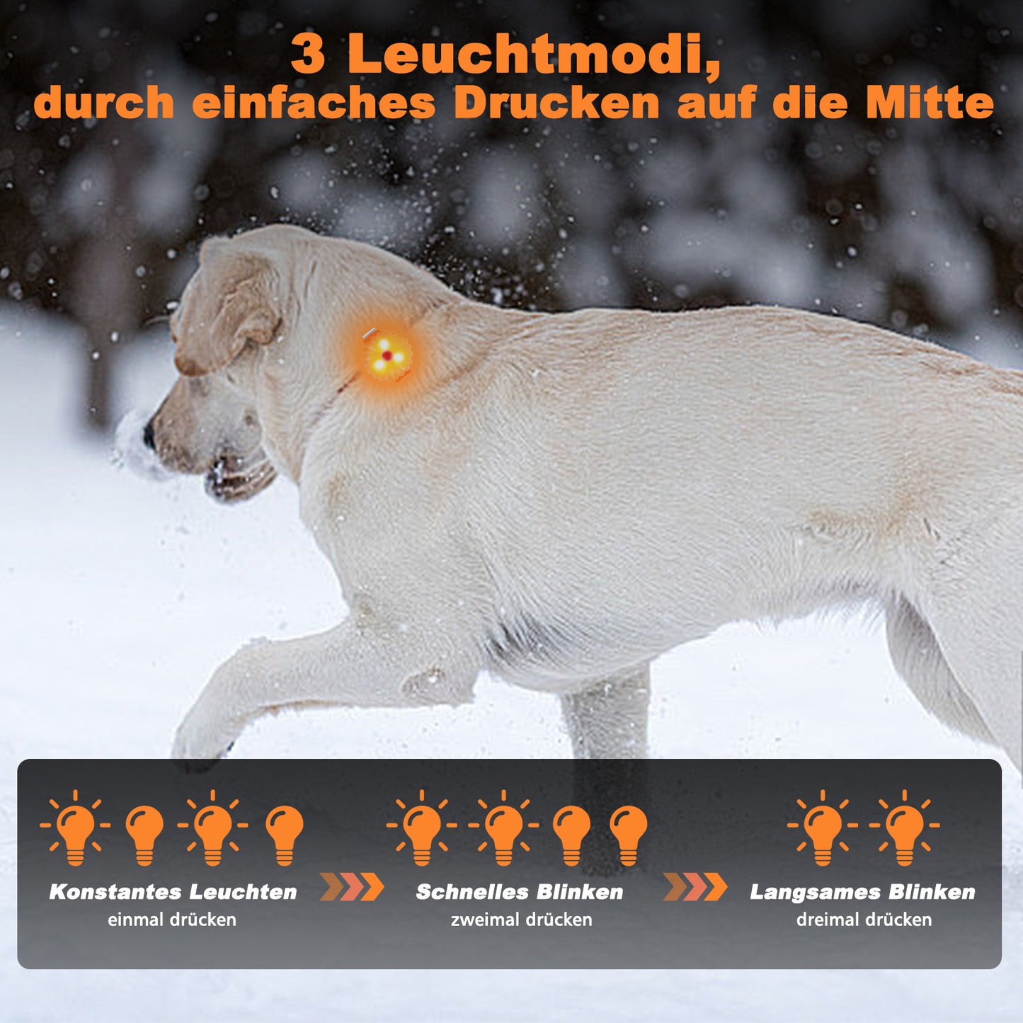 AHJ Hundelicht, 2 Stück Blinklicht Schulranzen Kinder, Sicherheits LED Blinklicht für Hunde - Katzen, USB-C Wiederaufladbar LED Licht Leuchthalsband Hund, licht für Jogger - Walker - Fahrradfahrer